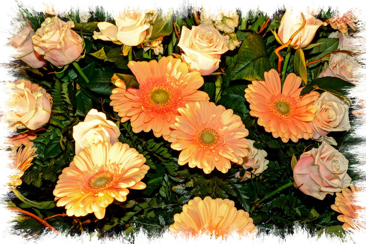O Fotomagazin / Blhendes sterreich 2015